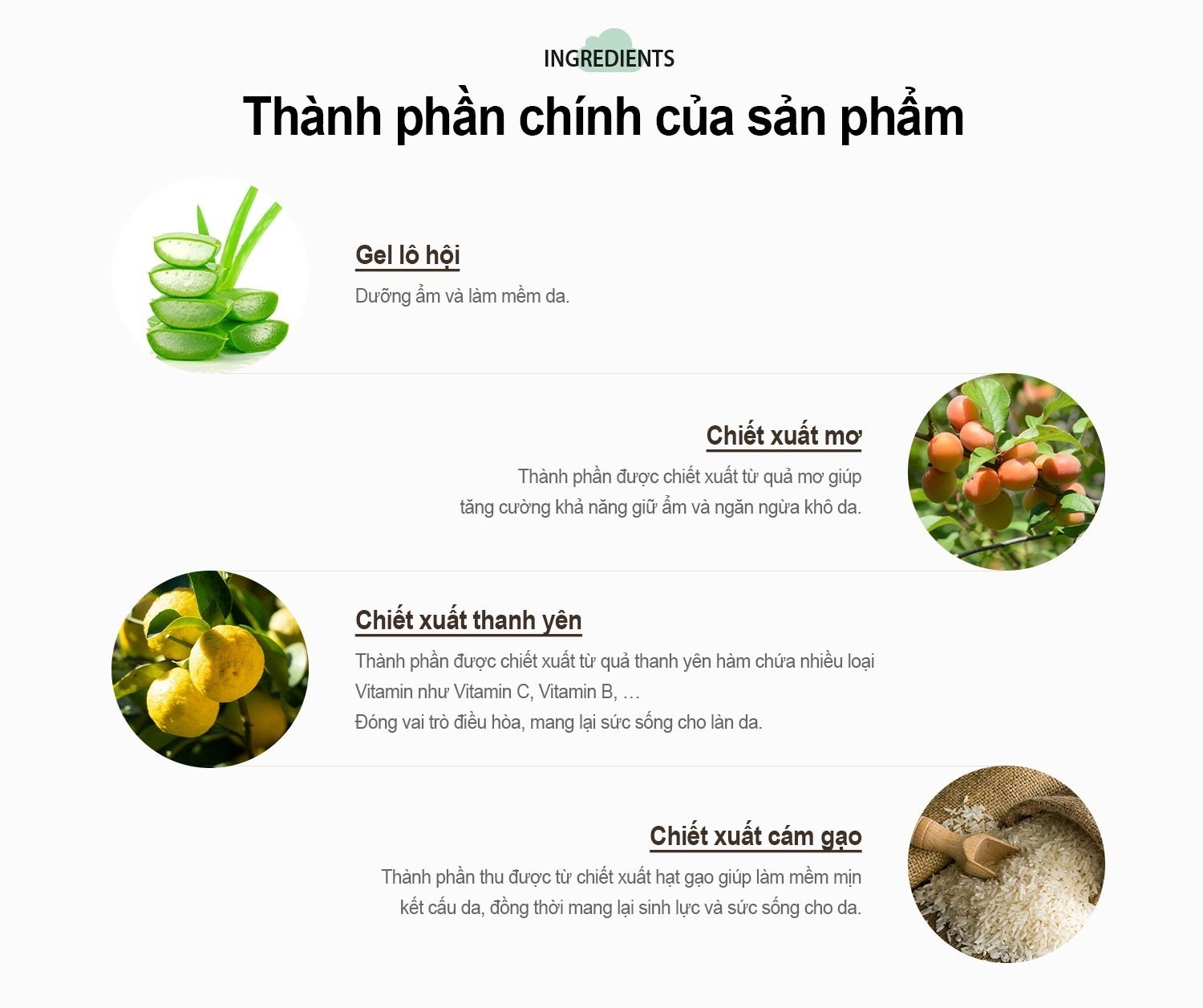Thành phần nước xả vải Gcoop hoàn toàn từ thiên nhiên Thành phần nước xả vải Gcoop hoàn toàn từ thiên nhiên
