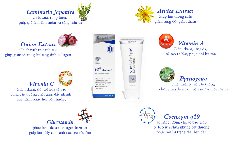 Kem xoá mờ sẹo, thâm, rỗ, lõm Scar Esthertique chiết xuất từ thiên nhiên Kem xoá mờ sẹo, thâm, rỗ, lõm Scar Esthertique chiết xuất từ thiên nhiên