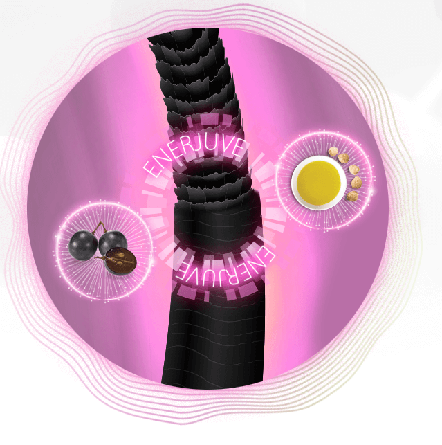 Thành phần gồm tinh dầu hạt Kukui chứa axít béo, axít amin & chiết xuất hạt nho Thành phần gồm tinh dầu hạt Kukui chứa axít béo, axít amin & chiết xuất hạt nho