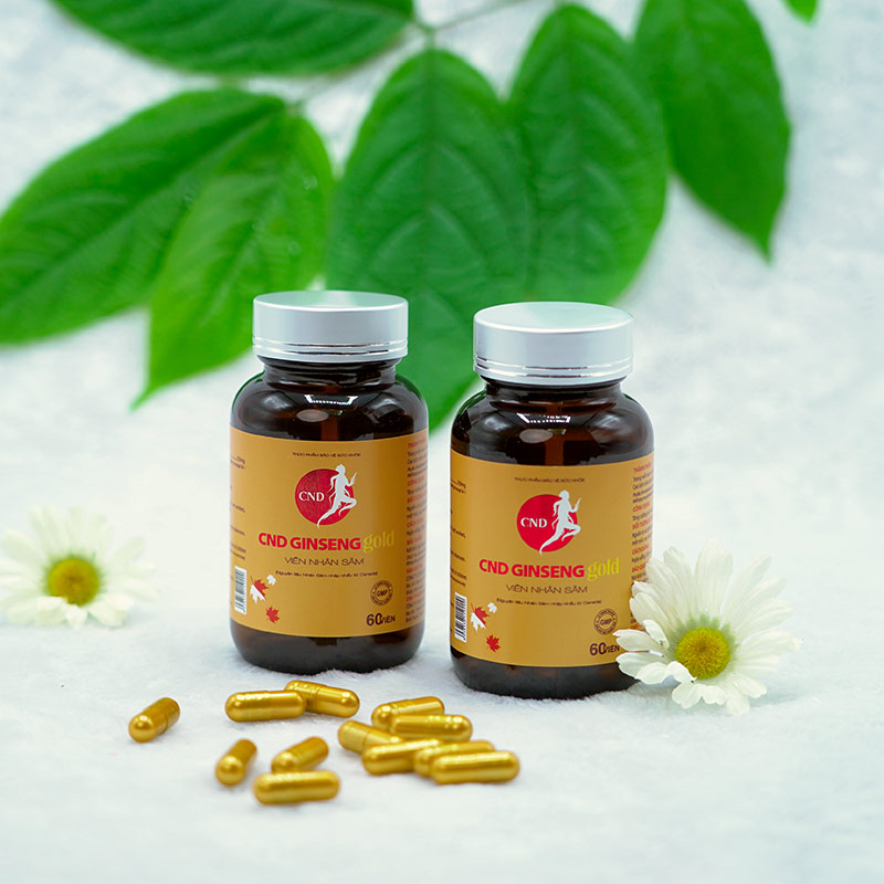 Viên nhân sâm CND Ginseng Gold 60 viên/lọ hỗ trợ người có sức đề kháng kém, người mới ốm dậy rất hiệu quả Viên nhân sâm CND Ginseng Gold 60 viên/lọ hỗ trợ người có sức đề kháng kém, người mới ốm dậy rất hiệu quả