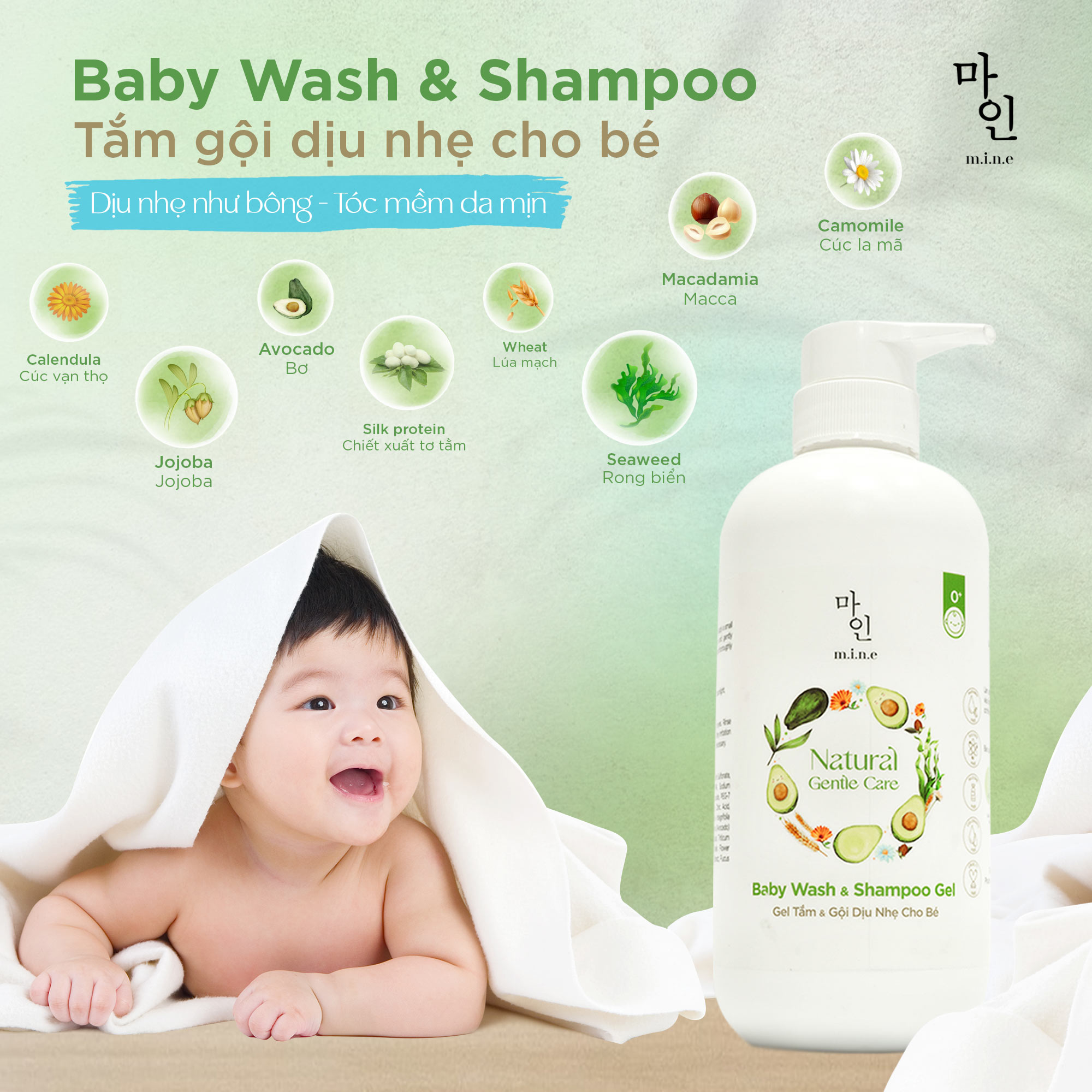 Sạch vi khuẩn & bụi bẩn, dưỡng ẩm và thơm tho từ các thành phần thiên nhiên Sạch vi khuẩn & bụi bẩn, dưỡng ẩm và thơm tho từ các thành phần thiên nhiên