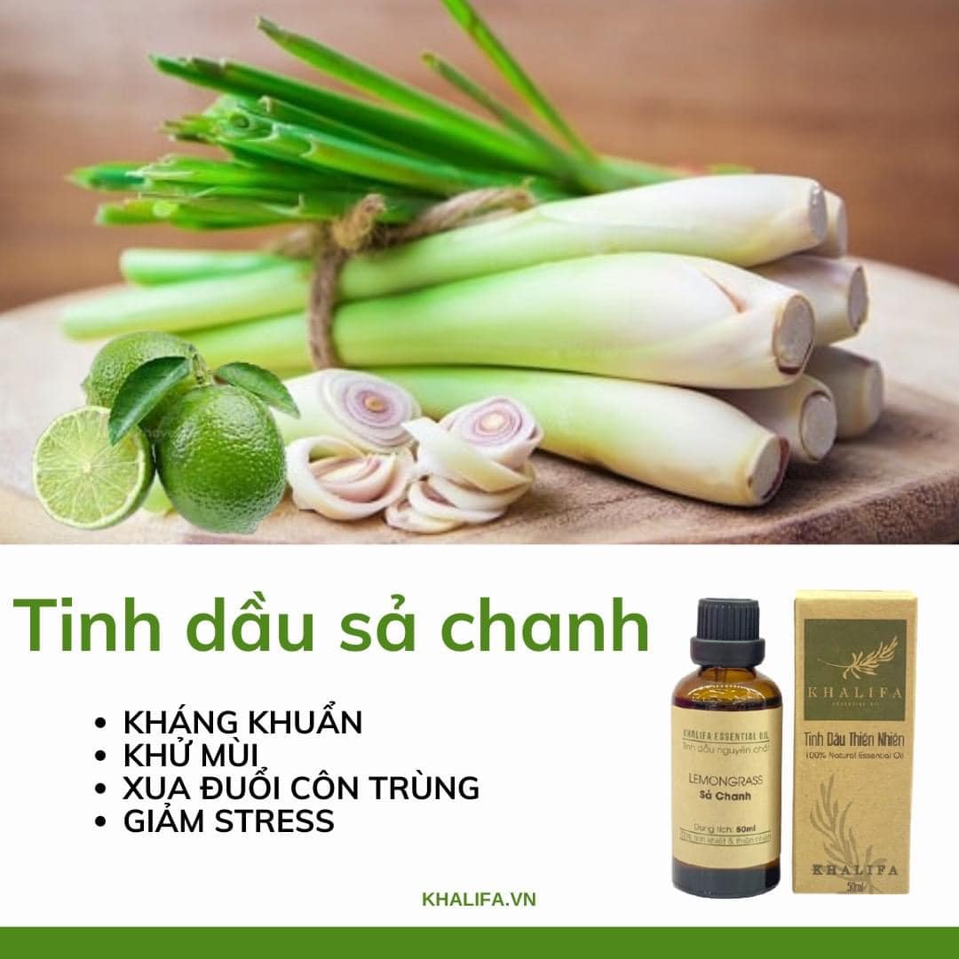 Tinh dầu sả chanh Khalifa tăng đề kháng, giảm đau cơ & cho không gian tươi mát, sảng khoái Tinh dầu sả chanh Khalifa tăng đề kháng, giảm đau cơ & cho không gian tươi mát, sảng khoái