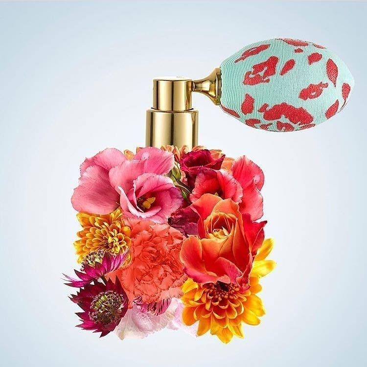 Hương hoa thơm ngát và tràn đầy sức sống Hương hoa thơm ngát và tràn đầy sức sống