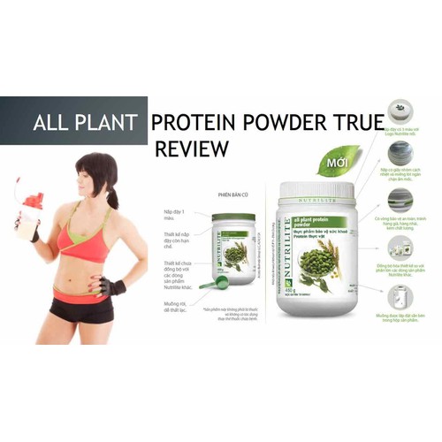 Năng lượng từ thực vật hữu cơ Năng lượng từ thực vật hữu cơ