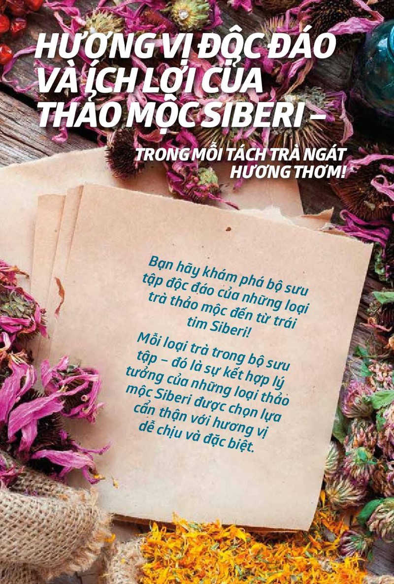 Trà thảo mộc Siberian Wellness với nguyên liệu hoàn toàn từ thiên nhiên vùng Siberi giá lạnh - Nga Trà thảo mộc Siberian Wellness với nguyên liệu hoàn toàn từ thiên nhiên vùng Siberi giá lạnh - Nga