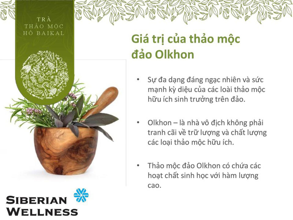 Trà thảo mộc Siberian hoạt chất sinh học cao hơn hẳn thảo mộc ở nơi khác trên thế giới nhờ thiên nhiên khắc nghiệt Trà thảo mộc Siberian hoạt chất sinh học cao hơn hẳn thảo mộc ở nơi khác trên thế giới nhờ thiên nhiên khắc nghiệt