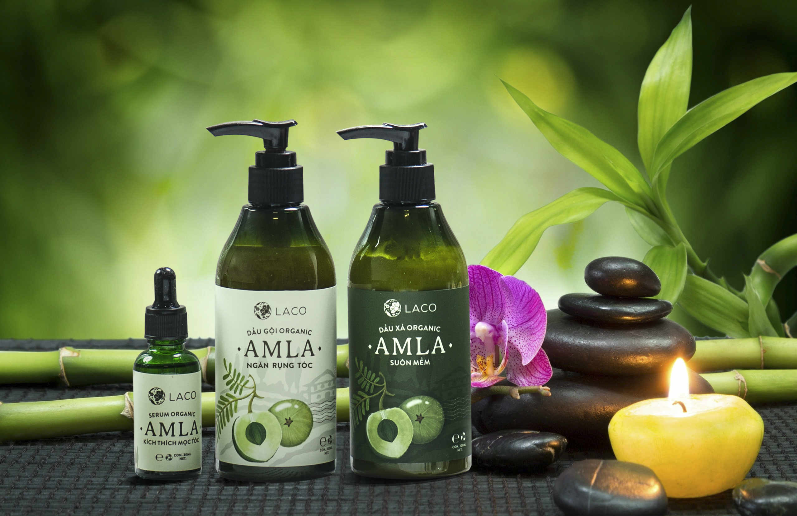 Điều làm nên sự khác biệt của bộ dưỡng tóc organic Amla Điều làm nên sự khác biệt của bộ dưỡng tóc organic Amla