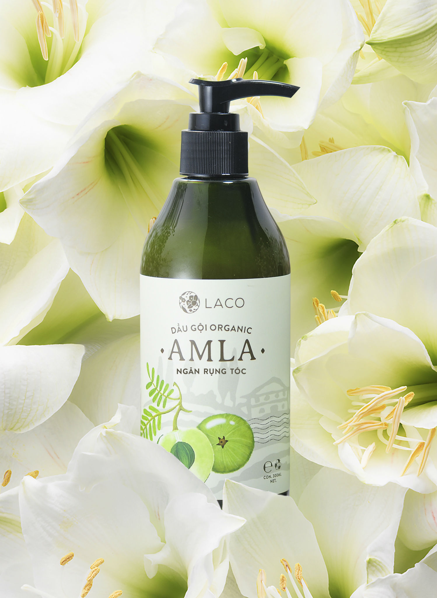 Dầu gội đầu Organic Amla Dầu gội đầu Organic Amla