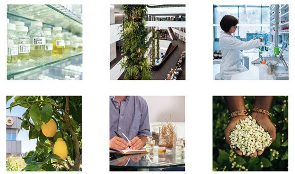 Sản phẩm Weilaiya đều mang hương thơm nước hoa quyến rũ từ nhà sản xuất nước hoa nổi tiếng thế giới Sản phẩm Weilaiya đều mang hương thơm nước hoa quyến rũ từ nhà sản xuất nước hoa nổi tiếng thế giới