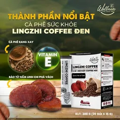 Cà Phê Sức Khỏe Lingzhi Đen 20 gói x15g Việt Nam 3 trong 1