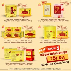 Mua 2 Trà Dưỡng Sinh Đông Trùng Hạ Thảo traphacoSapa & Nhân Sâm tặng 1 Trà Phun Sương Sapa Gừng Mật Ong Đông Trùng Hạ Thảo 3,5gx20 gói