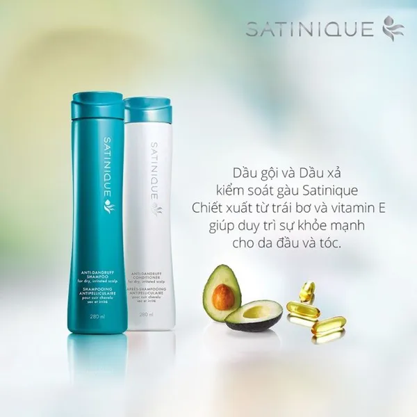 Combo 2 Chai Dầu Gội Xả Kiểm Soát Gàu Satinique 280ml/chai