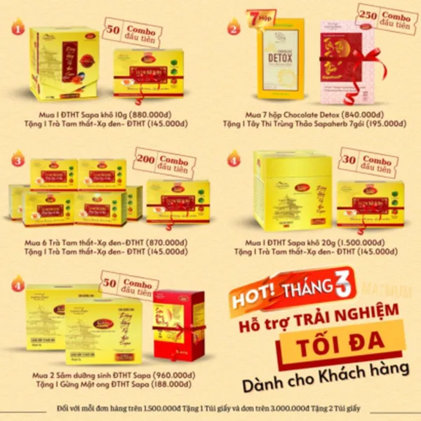 Mua 2 Trà Dưỡng Sinh Đông Trùng Hạ Thảo traphacoSapa & Nhân Sâm tặng 1 Trà Phun Sương Sapa Gừng Mật Ong Đông Trùng Hạ Thảo 3,5gx20 gói