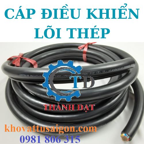 cap-dieu-khien-loi-thep-cho-cau-truc cap-dieu-khien-loi-thep-cho-cau-truc