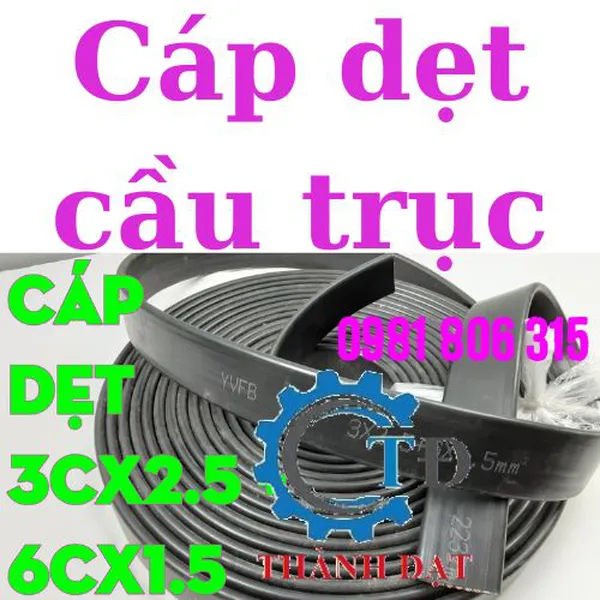 Cáp dẹt cầu trục