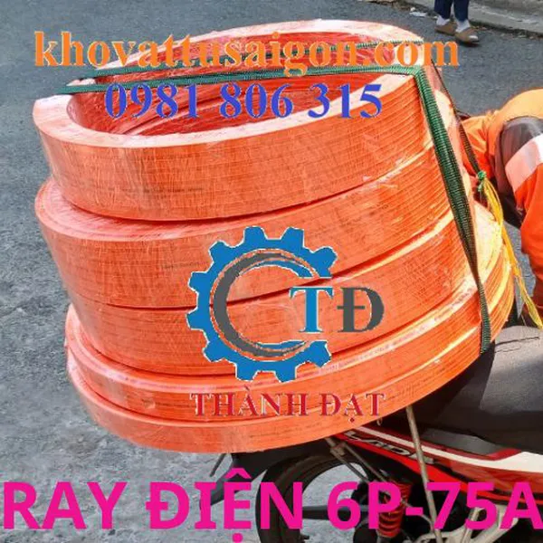 Ray điện cầu trục loại 6P-75A hiệu Kyec