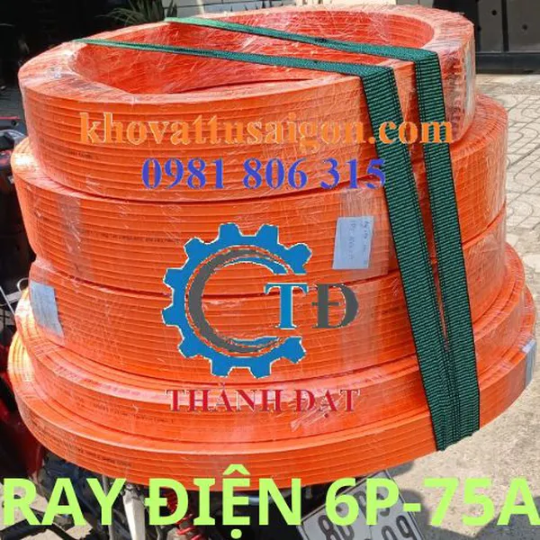 Ray điện cầu trục loại 6P-75A hiệu Kyec