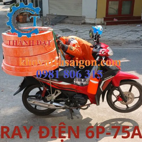 Ray điện cầu trục loại 6P-75A hiệu Kyec
