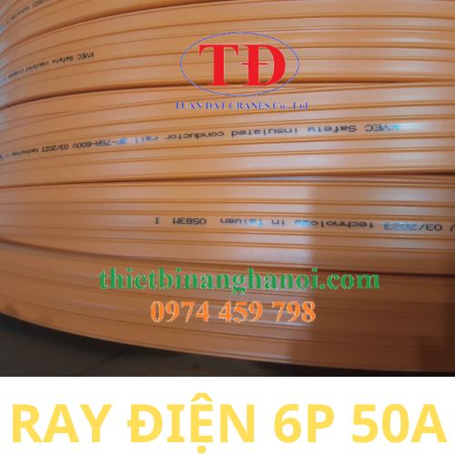 ray-dien-an-toan-6p-50a-cau-truc ray-dien-an-toan-6p-50a-cau-truc