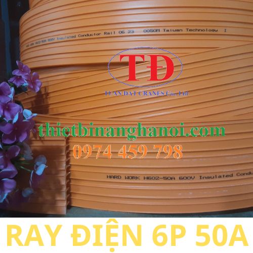 ray-dien-an-toan-6p-50a-cau-truc ray-dien-an-toan-6p-50a-cau-truc