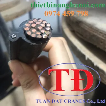 Cáp điều khiển có lõi thép cho tay bấm cầu trục