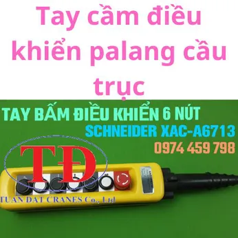 Tay cầm điều khiển palang cầu trục