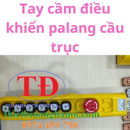 Tay cầm điều khiển palang cầu trục