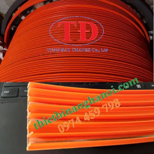 Ray điện an toàn 4P-50A