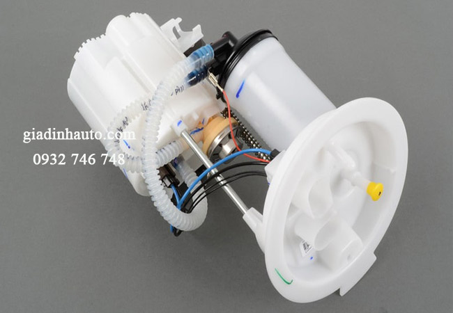 thị trường có nhiều loại bơm xăng với nhiều kết cấu khác nhau cho từng dòng ô tô thị trường có nhiều loại bơm xăng với nhiều kết cấu khác nhau cho từng dòng ô tô