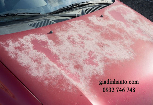 môi trường tác động không hề nhỏ đến lớp sơn xe ô tô môi trường tác động không hề nhỏ đến lớp sơn xe ô tô