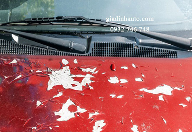 lớp sơn trên xe có thể bị phai màu, bong tróc khi không bảo dưỡng xe lớp sơn trên xe có thể bị phai màu, bong tróc khi không bảo dưỡng xe