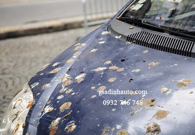ảnh hưởng của mưa đến lớp sơn của sơn xe ô tô ảnh hưởng của mưa đến lớp sơn của sơn xe ô tô