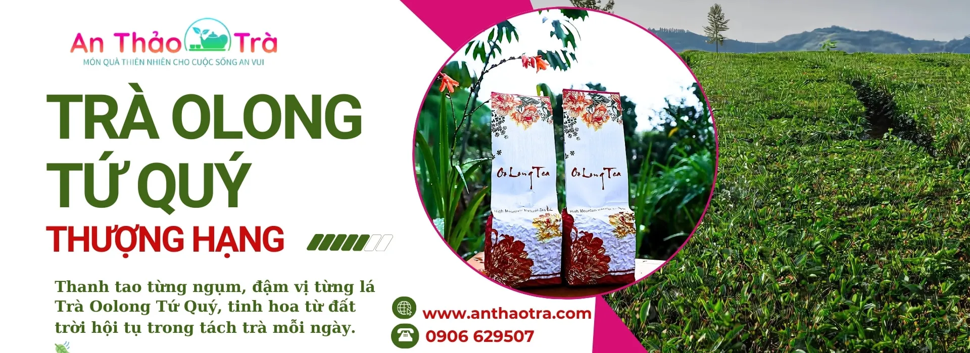 Trà Olong Tứ Quý Thượng Hạng