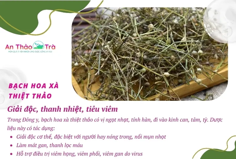 Bạch hoa xà thiệt thảo bán chi liên: Thành phần giúp bảo vệ thận và gan