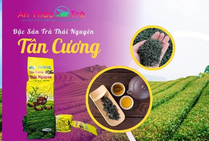  Trà Lộc Tân Cương - Trà Ngon Từ Vùng Tân Cương, Giúp Cải Thiện Làn Da