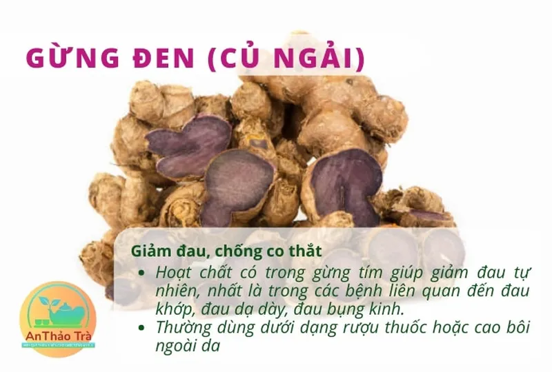 Gừng đen và công dụng điều hòa nội tiết tố ở phụ nữ