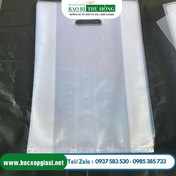 Túi hột xoài pp trong đảm bảo chất lượng Túi hột xoài pp trong đảm bảo chất lượng