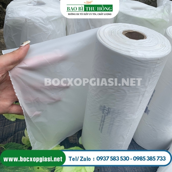 Túi pe cuộn đựng thực phẩm Túi pe cuộn đựng thực phẩm