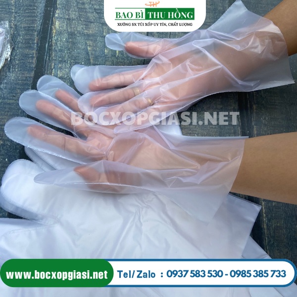 Găng tay ni lông trong suốt chế bến thực phẩm Găng tay ni lông trong suốt chế bến thực phẩm