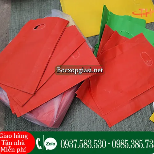 Túi hột xoài hd