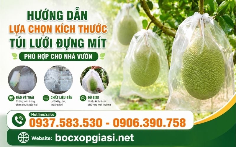 Hướng Dẫn Cách Lựa Chọn Kích Thước Túi Lưới Đựng Mít Phù Hợp Cho Nhà Vườn