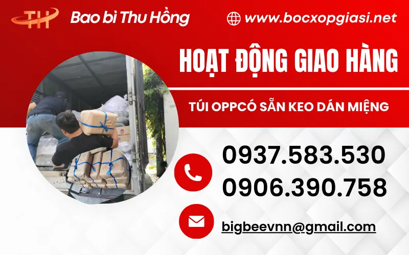Bao Bì Thu Hồng Giao Hàng Sỉ Túi OPP Dán Miệng Tận Nơi Nhanh Chóng