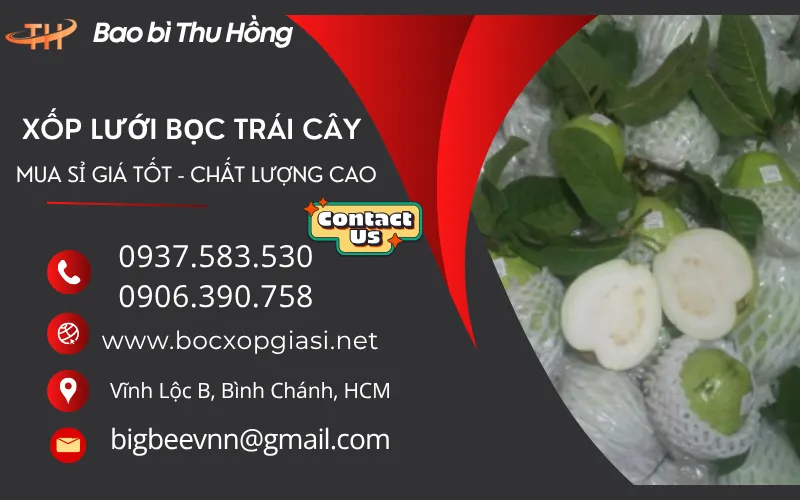 Kinh Nghiệm Chọn Xốp Lưới Bọc Trái Cây Chất Lượng Giá Tốt