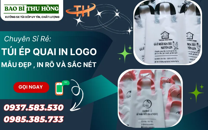 Túi Ép Quai In Logo Theo Yêu Cầu Giá Sỉ Rẻ – Nhận In Giao Hàng Miễn Phí Tại HCM
