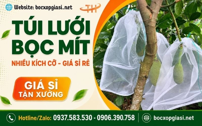 Cách sử dụng túi lưới bọc mít hiệu quả cho nhà vườn