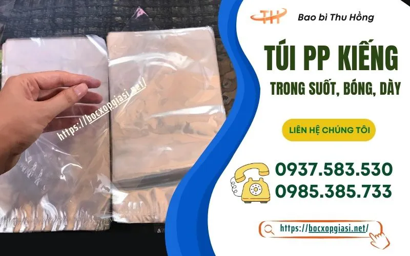 Tìm hiểu về túi PP kiếng và nơi bán sỉ uy tín tại HCM