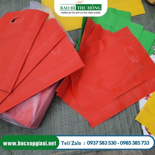 Túi hột xoài HD Túi hột xoài HD