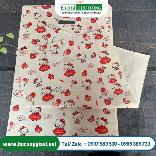 Mẫu túi hột xoài HD in hình mèo kitty dễ thương Mẫu túi hột xoài HD in hình mèo kitty dễ thương