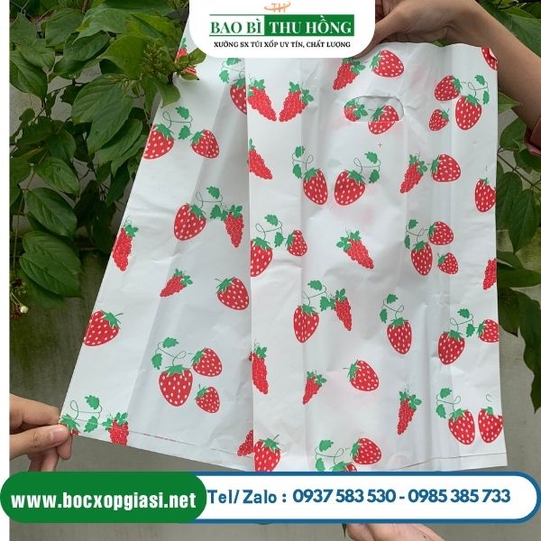 Túi hột xoài HD in Túi hột xoài HD in