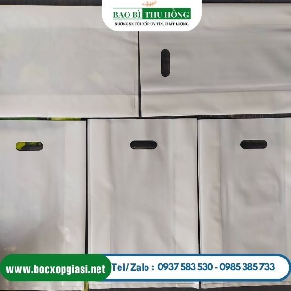 Túi hột xoài PE cao cấp đảm bảo chất lượng dẻo dai Túi hột xoài PE cao cấp đảm bảo chất lượng dẻo dai